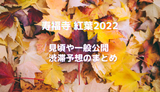 【佐世保市】寿福寺の逆さ紅葉2024！混雑予想や見頃、一般公開について