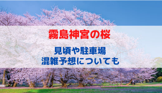 霧島神宮の桜はいつが見頃？混雑予想や駐車場情報についても！